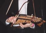 An old Nickelharpa; photo by The Mollis